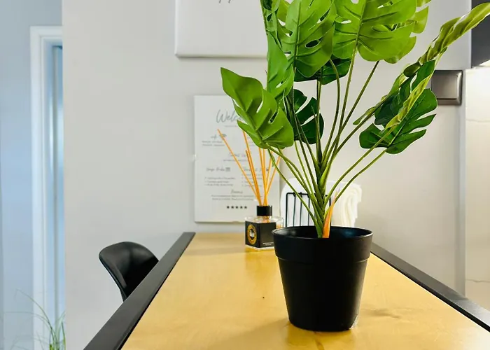 Elite Deluxe 1 Cavala